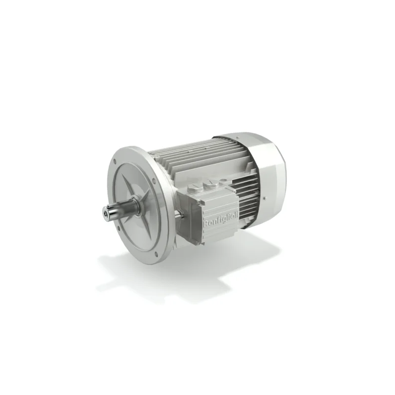 BN Series Asynchronous IE1 Three Phase motor