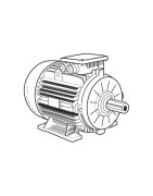 Electric Motors