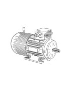 Break Electric Motor​s