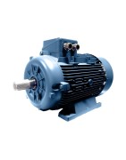 200 Type Motor