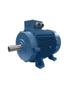 A12-Aemot-250 Type Motor