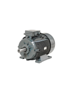 Low Voltage Motors