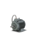 Smoke Extraction Motors