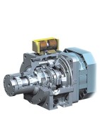 Motors with gearbox