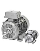 INNOMOTICS SD Severe Duty Motors