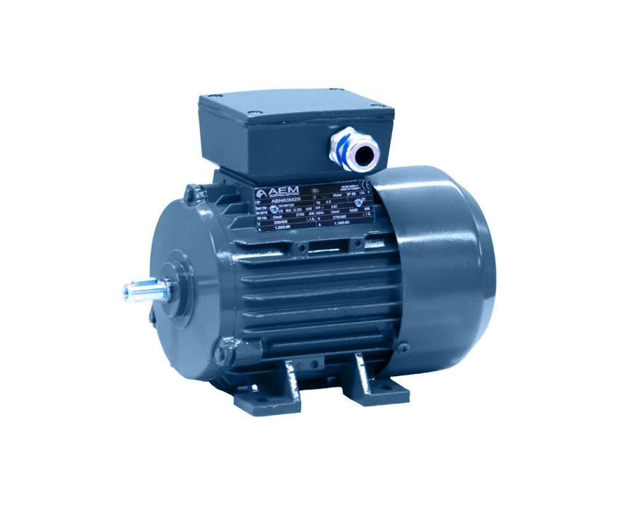 A1-Aemot-63 Type Motor