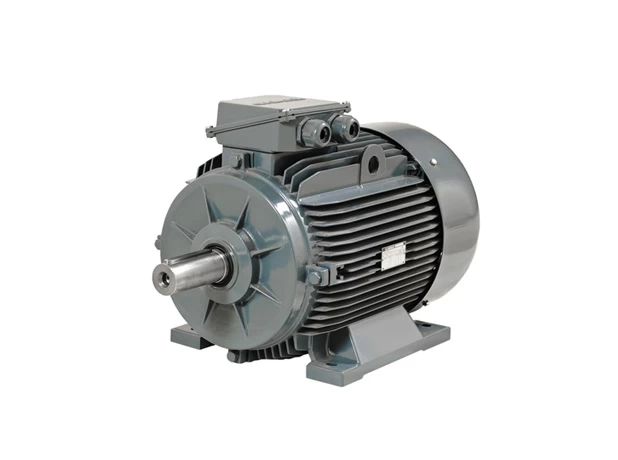 Low Voltage Motors