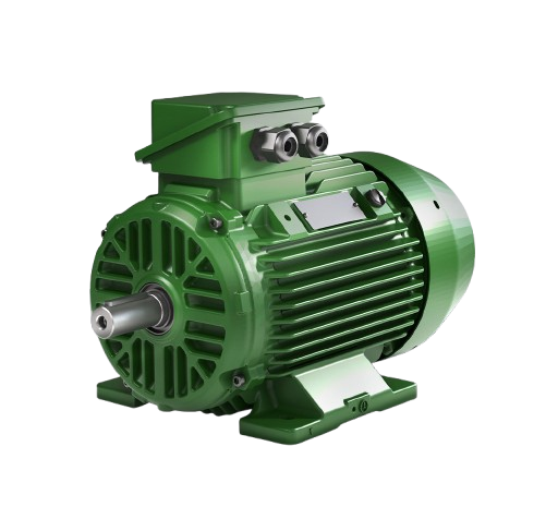 3 Phase Cast Iron Motors