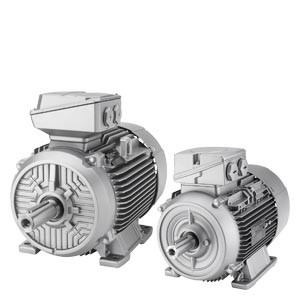 Low-Voltage Motors (standard industrial motors)